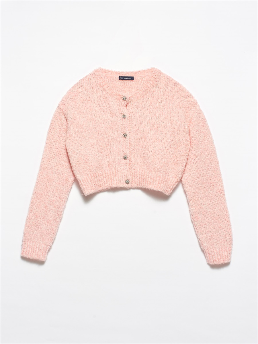 101a02765_pembe.jpg